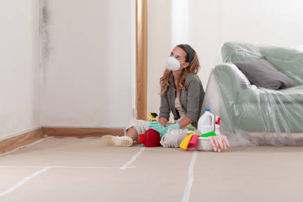 Reliable Mold Inspection And Testing contractor in Park Ridge, IL by Car Mold Remediation